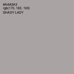 #AAA3A3 - Shady Lady Color Image